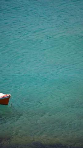 Depoimento de Ricardo Mendes